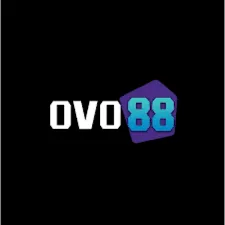 ovo88 - Chat Encrypted APK